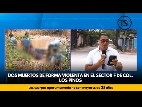 Dos muertos de forma violenta en el sector F de Col.  Los Pinos
