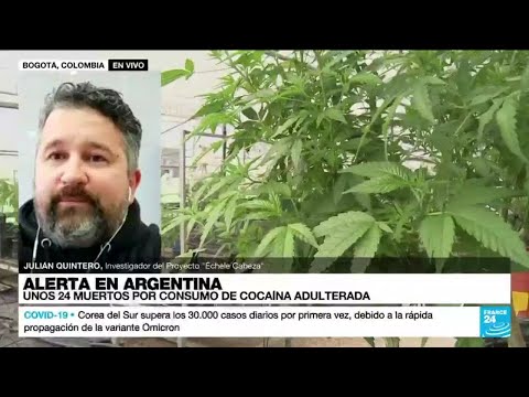Julian Quintero: La lucha contra las drogas fracasó, hoy hay más consumidores y sustancias
