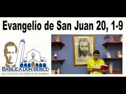 Reflexión Evangelio - Domingo de Pascua 2021 - Ciclo B