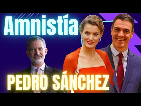 ¿Que? significa la amnisti?a que ha prometido Pedro Sa?nchez a Puigdemont en Espan?a?