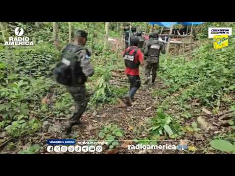 Más plantaciones de hoja de coca en Honduras decomisadas