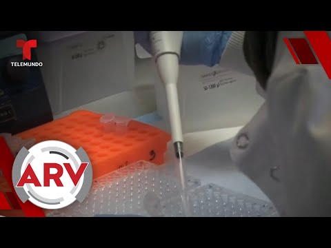 Vacuna contra COVID19 en EE.UU. inicia nueva fase de pruebas clínicas | Al Rojo Vivo | Telemundo