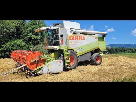 DrescherVlog2025 #1 Spontaner Start in die Gerste