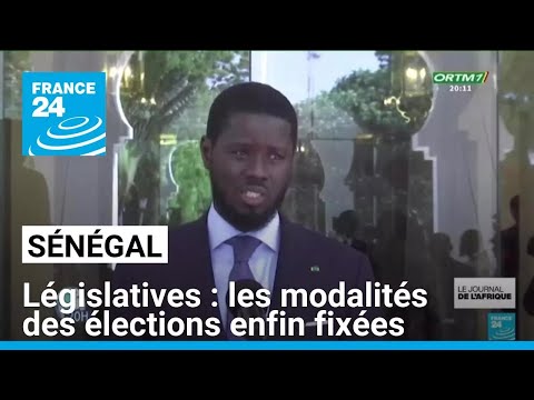 Législatives au Sénégal : les modalités des élections enfin fixées • FRANCE 24