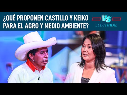 Castillo vs. Keiko: análisis del plan de gobierno para el agro y medio ambiente | Versus Electoral