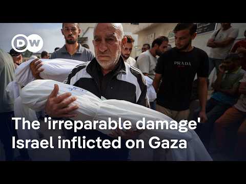 "There will never, never be a safe space in Gaza again – even after the war is over" | DW News