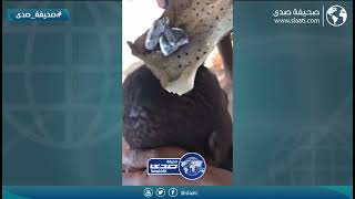 حلاقة بطريقة جديدة