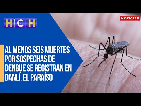 Al menos seis muertes por sospechas de dengue se registran en Danlí, El Paraíso