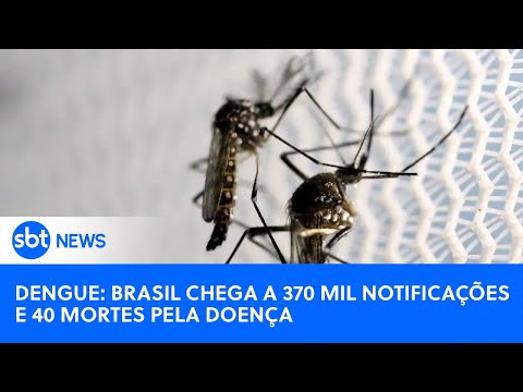 SBT News na TV: Brasil tem 370 mil casos e 40 mortes por dengue; outros 265 óbitos são investigados
