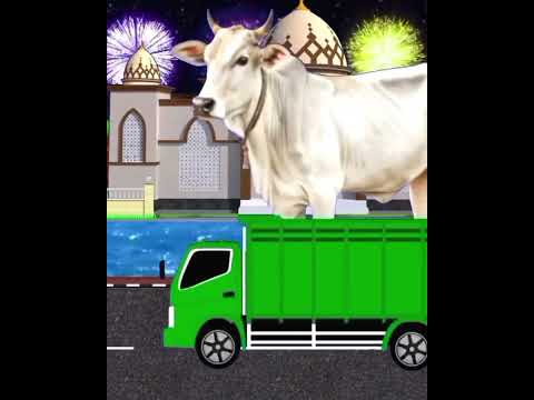 Takbiran keliling idul adha 2025 sapi kurban #allahuakbar #fyp #takbiran #sapi