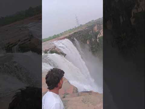 chachai waterfall Rewa #like #reels #shortvideo #shorts #ytshort #waterfall #madhyapradesh #