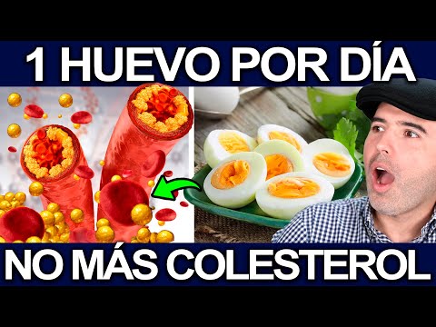 COMER HUEVO TODOS LOS DIAS ¿BUENO O MALO? - No Es Lo Que Te Imaginas!