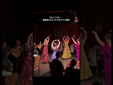 🌈フラメンコライブの楽しみ 8/11(祝月)はライブ出演します!月島スペインクラブ詳細はコメント欄➡️【セビジャーナスについて】 #フラメンコ #平富恵スペイン舞踊研究所