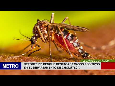 REPORTE DE DENGUE DESTACA 13 CASOS POSITIVOS
