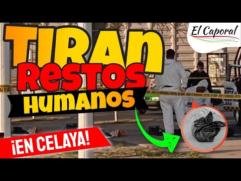 ? TIRAN Bolsas Con RESTOS HUMANOS En Calles De Celaya ? Un Cártel Ya Se Adjudicó El Hecho