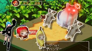 対猫ミーム戦【スーパーマリオRPG】