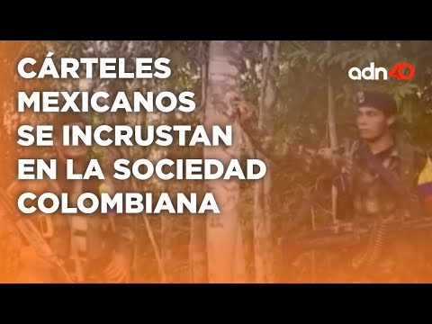 Gran presencia de cárteles mexicanos en Colombia, operan con emisarios I Todo Personal