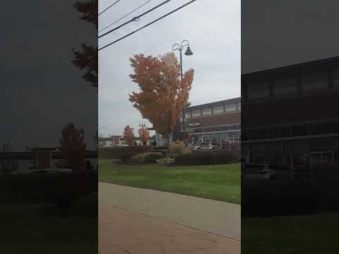 mùa Thu tại Mỹ 2024, Halloween 2024