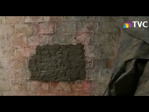 Sujetos hicieron un hueco en la pared para robar un local comercial en Salitre