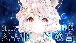 【輕聲細語】睡眠觸發音🌼ASMR #shorts #瑪格麗特諾爾絲 #箱箱TheBox