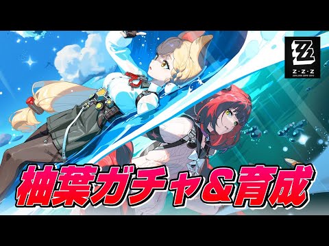 【ゼンゼロ】柚葉の育成にディスク厳選や編成等【ゼンレスゾーンゼロ】