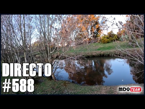 DIRECTO #588 - ESTAMOS MUY FELICES