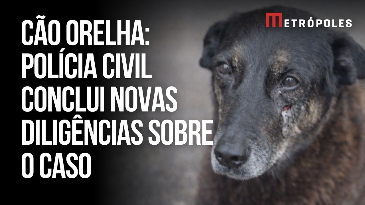 Cão Orelha: Polícia Civil conclui novas diligências sobre o caso