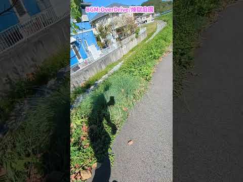 One Year After EP10 休憩ニセPenny #shotrs