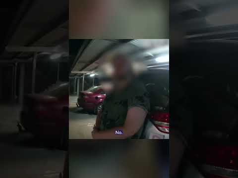 Man charged after 26 snakes found in vehicle