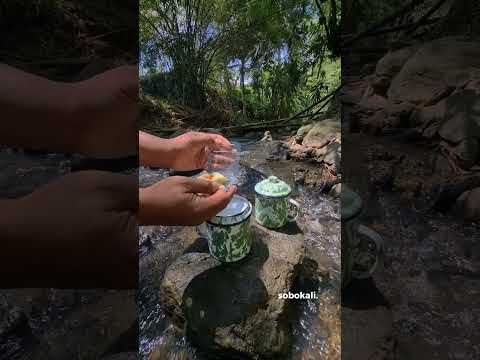 Hidden Paradise: Clear River Flow, Dense Vegetation & Sunlight Nature ASMR River Relaxation Cooking