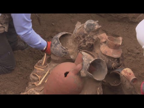 Eight mummies, thought to be at least 1,000 years old, found during gas network works in Peru