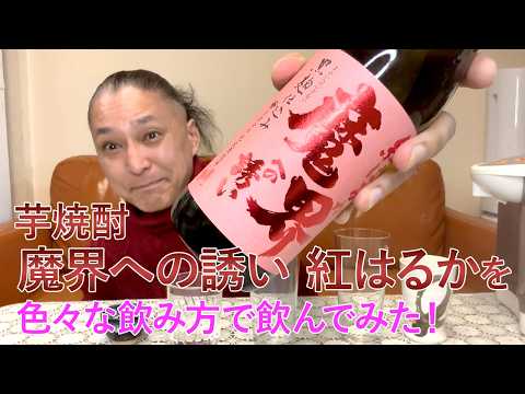 【レビュー】光武酒造場の芋焼酎 魔界への誘い 紅はるかを色々な飲み方で飲んでみた♪