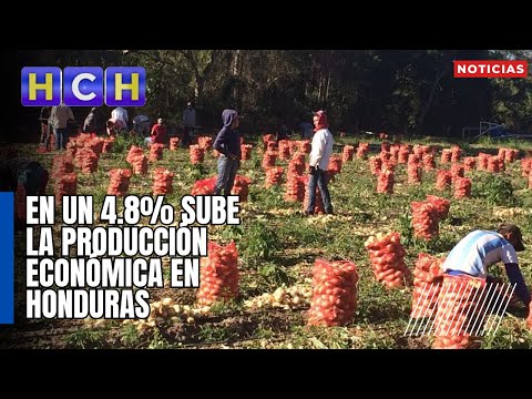 En un 4.8% sube la producción económica en Honduras