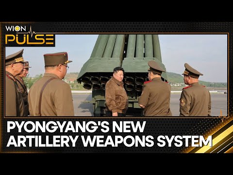 North Korea tests its multiple rocket systems | WION Pulse