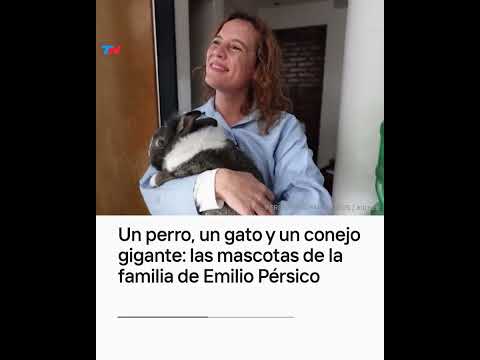 UN PERRO, UN GATO Y UN CONEJO GIGANTE: las mascotas de la familia de Emilio Pérsico I #Shorts
