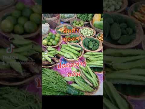 สินค้า สินค้า