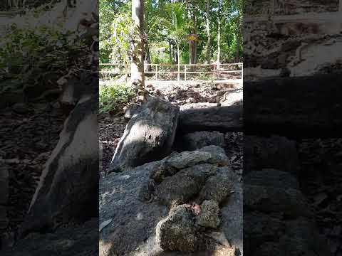 สุสานหอยล้านปี-Susan-Huai-Lan- สุสานหอยล้านปี-Susan-Huai-Lan-