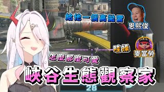 讓我們來觀察王者峽谷裡的特有種，黃雀！【貝莉莓】
