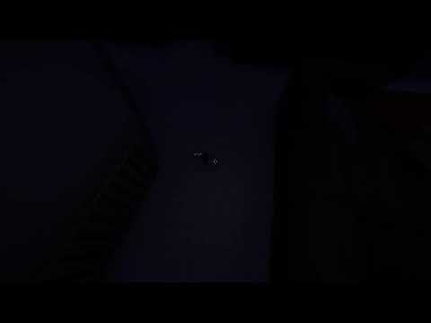 Phasmophobia avec Flogamer