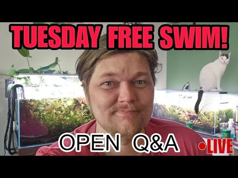 Addressing My Impending Scandal_ LIVE! ● OPEN Q& here is a link to the 