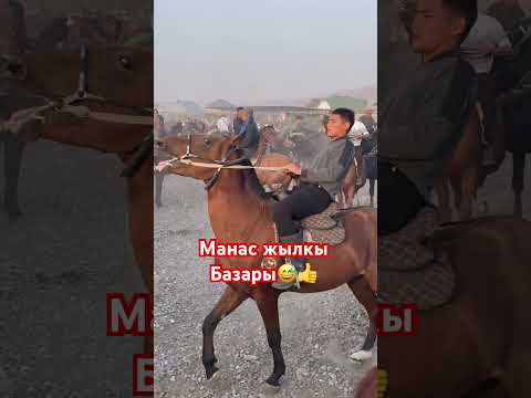 #рекомендации #лошадки #рек #horse #лошади