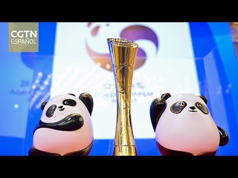 La primera edición de los premios Panda de Oro se celebrará en Chengdu
