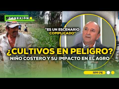 🚨 ¿Cultivos EN PELIGRO? Niño Costero y su IMPACTO en el agro peruano | RPP Noticias