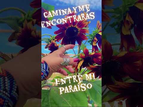 Por qué estamos echos para decidir a dónde vamos con quien queremos estar y qué queremos ser