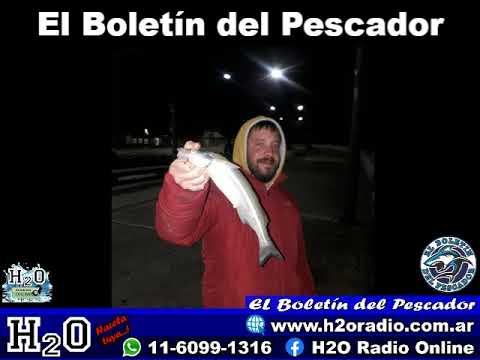 Informe del Pique en Costanera Diego Alonso para El Boletín del Pescador  del 07-Set-21 al 14-Set-21