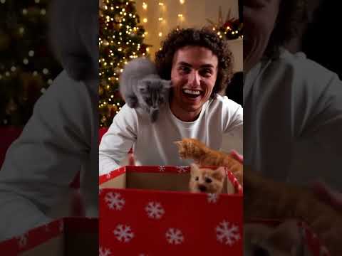 Klik hier om Kwebbelkop van 26 november te bekijken.