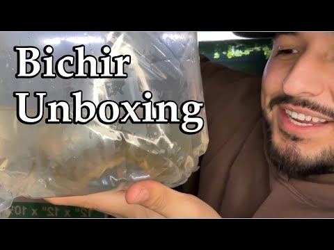 March 13, 2024 Here I unbox some incredible fish I ordered from Nationwideaquaticsusa.com 

This video is not spons