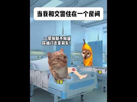 猫の動画サムネイル - 当我和交警住在一个房间#有趣 #猫meme #猫meme剧场 #猫meme小剧场 #内容过于真实  #故事 #貓 #猫猫meme小剧场 #喵不可言