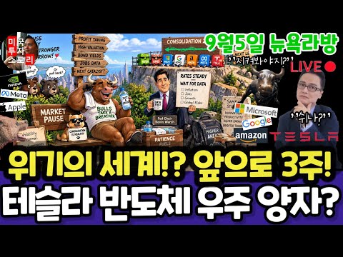 미국주식/위기의 세계와 오픈AI 아스트라 반도체,앞으로3주 전략! (편집본) 테슬라 엔비디아 구글 애플 아마존 메타 삼성전자 하이닉스 마이크론 테크놀로지 브로드컴 인텔 샌디스크
