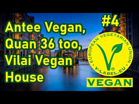 Vegan in Hamburg #4: AnTee Vegan, Quan 36 too, Vilai Vegan House